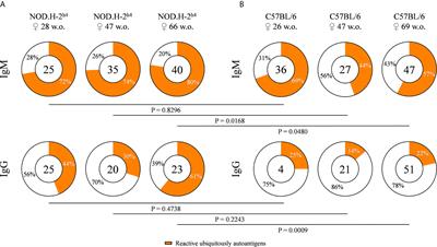 Autoimmune B Cell Repertoire in a Mouse Model of Sjögren’s Syndrome